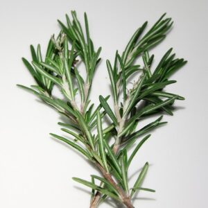 Romarin